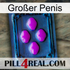 Großer Penis 04